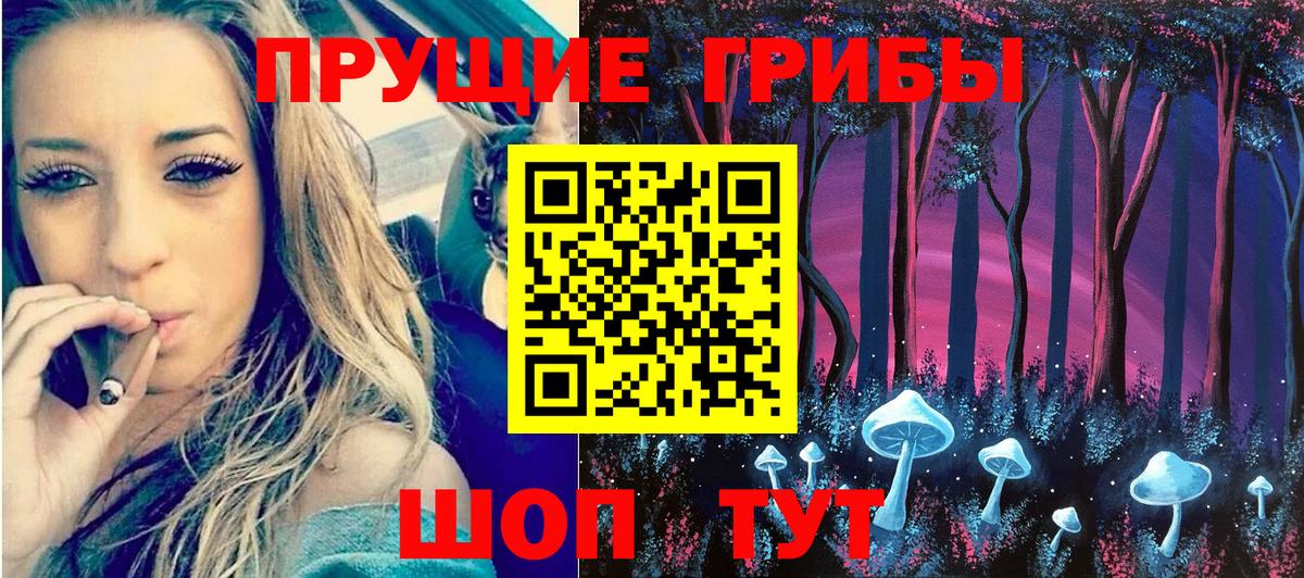 Зеленогорск  Галлюциногенные грибы мухоморы  Вход с VPN 
